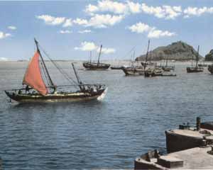 ������ ������ ������ ����� ����� ������� ��� ������ ������