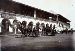 ���� ������ ��� ��� ����