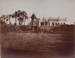 ���� ������ ��� ��� ����