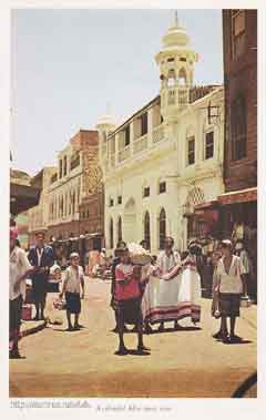 ���� ������ ��� ��� ����