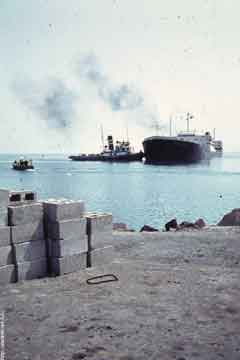 ���� ������ ��� ��� ����