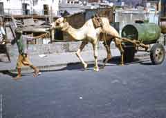 ���� ������ ��� ��� ����