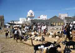 ���� ������ ��� ��� ����