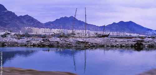 ���� ������ ��� ��� ����