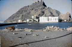 ���� ������ ��� ��� ����