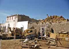 ���� ������ ��� ��� ����