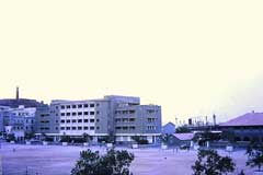 ���� ������ ��� ��� ����