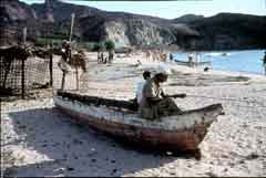 ���� ������ ��� ��� ����