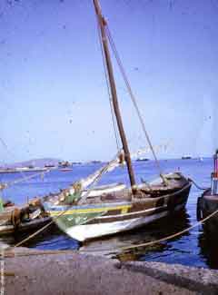 ���� ������ ��� ��� ����