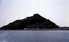 ���� ������ ��� ��� ����