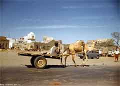 ���� ������ ��� ��� ����