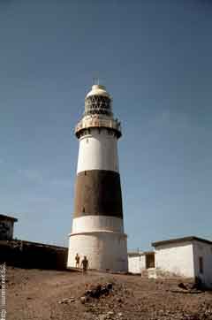 ���� ������ ��� ��� ����