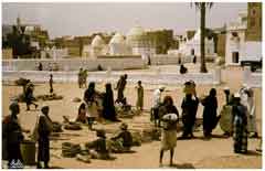 ���� ������ ��� ��� ����