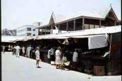 ���� ������ ��� ��� ����