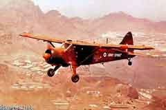 ���� ������ ��� ��� ����