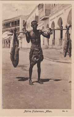 ���� ������ ��� ��� ����