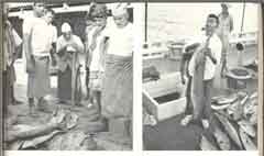 ���� ������ ��� ��� ����