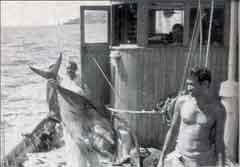 ���� ������ ��� ��� ����