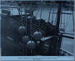 ���� ������ ��� ��� ����