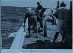 ���� ������ ��� ��� ����