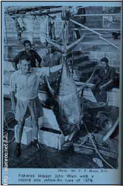 ���� ������ ��� ��� ����