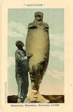 ���� ������ ��� ��� ����