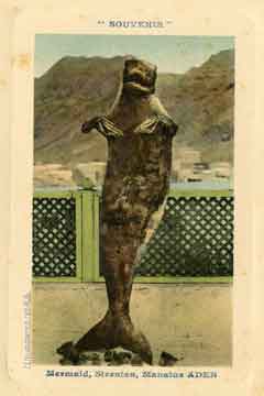 ���� ������ ��� ��� ����