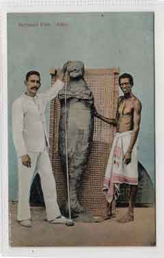 ���� ������ ��� ��� ����