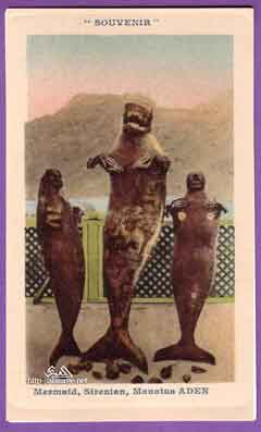 ���� ������ ��� ��� ����