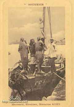 ���� ������ ��� ��� ����