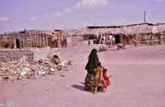 ���� ������ ��� ��� ����