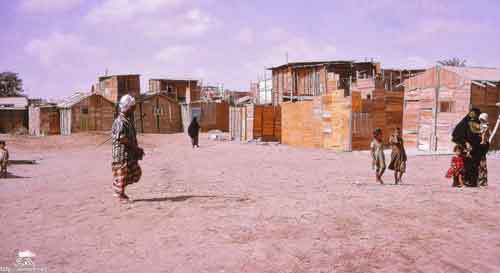 ���� ������ ��� ��� ����