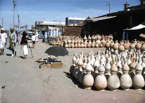 ���� ������ ��� ��� ����