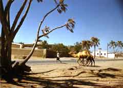 ���� ������ ��� ��� ����