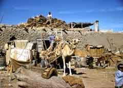 ���� ������ ��� ��� ����