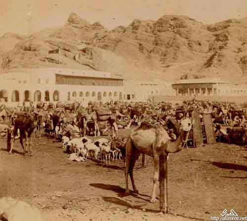 ���� ������ ��� ��� ����