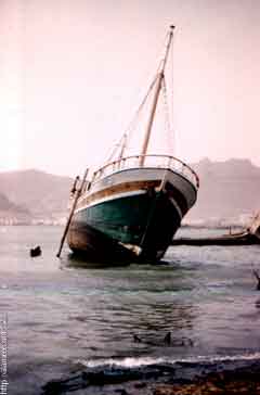 ���� ������ ��� ��� ����