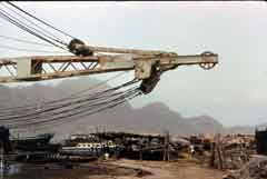 ���� ������ ��� ��� ����