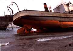 ���� ������ ��� ��� ����