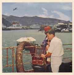 ���� ������ ��� ��� ����