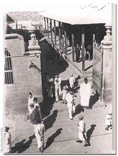 ���� ������ ��� ��� ����