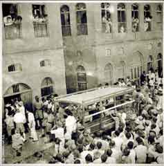 ���� ������ ��� ��� ����