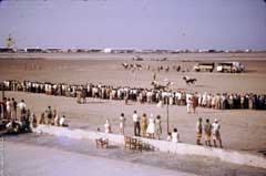 ���� ������ ��� ��� ����