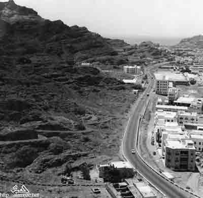 ���� ������ ��� ��� ����