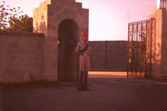 ���� ������ ��� ��� ����