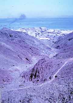 ���� ������ ��� ��� ����