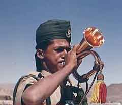 ���� ������ ��� ��� ����