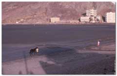 ���� ������ ��� ��� ����