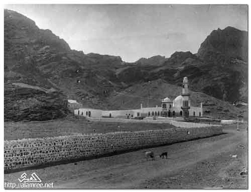 ���� ������ ��� ��� ����