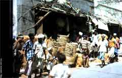 ���� ������ ��� ��� ����